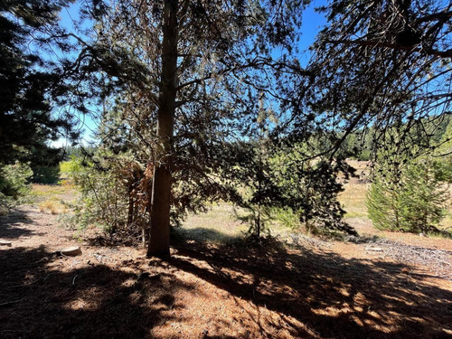 Imagen 4 de 16 de Terreno En Venta El Desafio Mountain