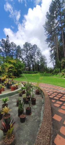 Imagen 29 de 29 de Apartamento La Lagunita Country Club