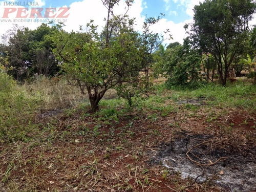 Chácaras_sítios_fazendas Para Venda - 13650.7749