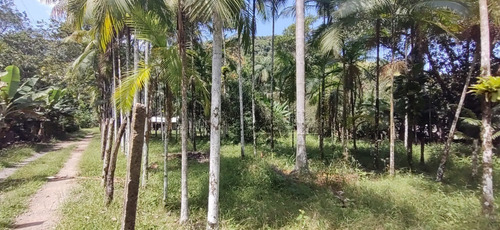 Imagem 15 de 18 de Miracatu /bela Chácara Plana C/riacho/só R$ 90 Mil/oportunidade/ref:05367