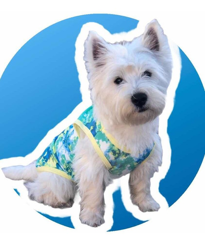 Remera Ropa Para Perros - Batik Verde Y Azul