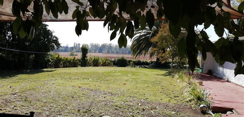 Imagen 10 de 18 de Sitio En Venta En Chillán