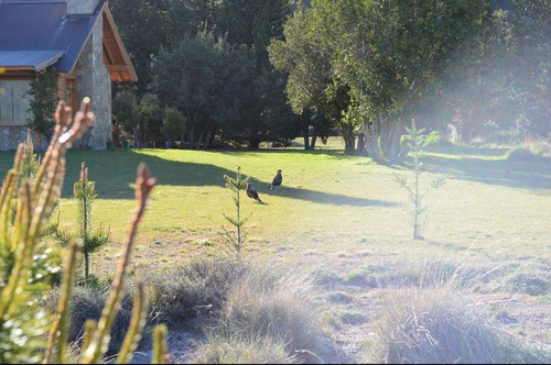 Imagen 7 de 30 de Terreno Plano En Esquina B° El Pegual Club De Campo - San Martin De Los Andes
