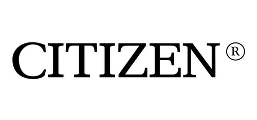 Imagen 3 de 3 de 20u X Citizen Termometro Digital Silfab 301c Nuevo Gtia