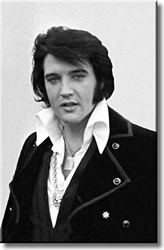 Visit The Artworks Decor  Elvis Presley,