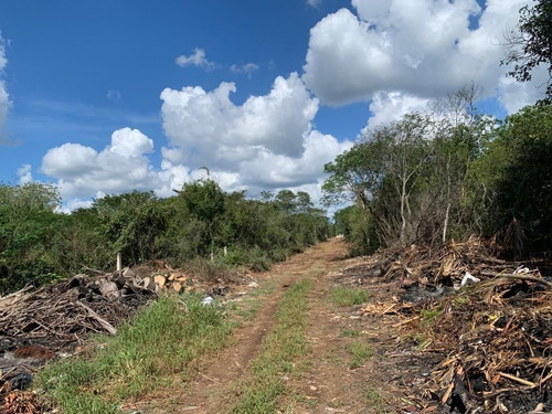 Imagen 5 de 8 de Lote De Terreno En Temozón Norte - Zona Norte De Merida