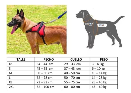 Pretal Arnes Perros Antitirones Broches Y Traba De Seguridad Rojo L Liso