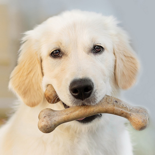Imagen 4 de 10 de Benebone Puppy Wishbone Bacon Small Juguete Perro Hueso