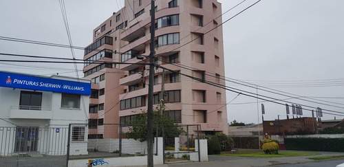Imagen 8 de 12 de Departamento En Quilpué