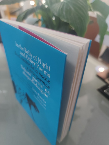 En El Vientre De La Noche Y Otros Poemas - Irma Pineda