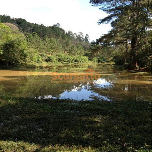 Imagem 2 de 3 de Área À Venda, Palmeiras, Juquitiba/sp - 4027