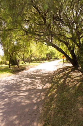 Chacras De La Villa - Variedad De Lotes A La Venta