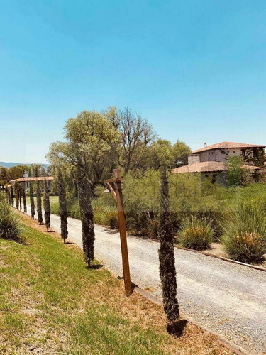Imagen 17 de 24 de San Miguel De Allende, Terreno En Venta Dentro De Viñedo