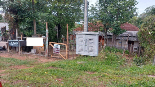 Imagem 4 de 5 de Area - Vila Nova - Ref: 205768 - V-205880