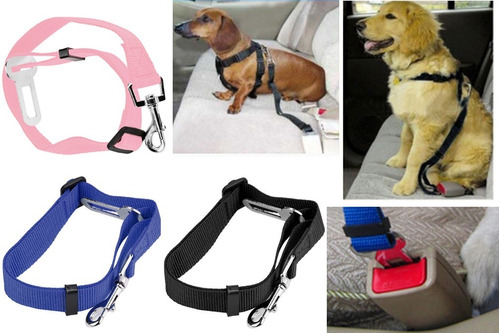 Cinturón Seguridad Perro Mascota Ajustable Para El Carro