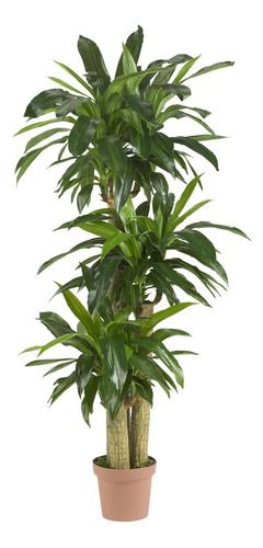 57in Tallo De Maíz Dracaena Silk Plant 57 Real Touch 6...