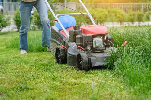 Mantenimiento De Jardines,fachadas Y Paisajismo 