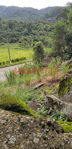 Imagem 16 de 18 de Terreno Em Parque Itaguaçu - São Paulo, Sp - 353933