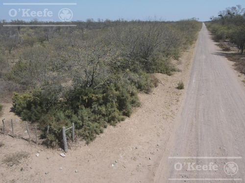 Campo En Venta 4100 Has.santiago Del Estero.apto Bonos Verde