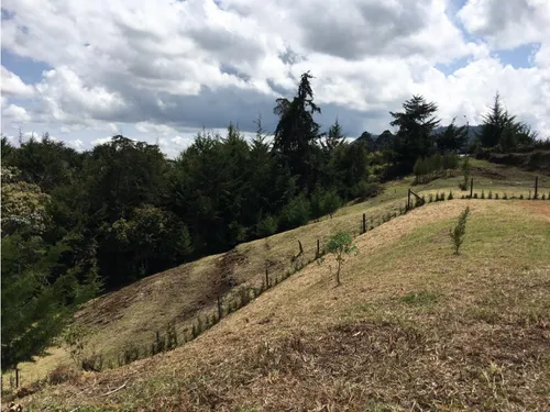 Lote En Llanogrande, Vereda Pontezuela