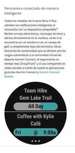 Garmin Fénix 5 S Plus (Usado)