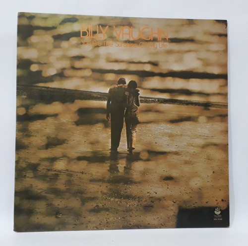Billy Vaughn 9 Discos Vinil Lp Orquestra Sinfônica Coleção