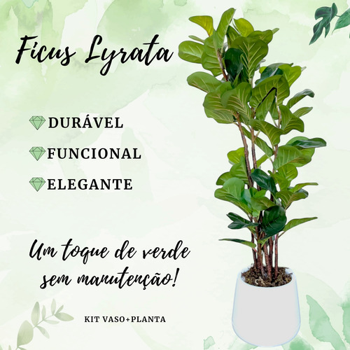 Ficus Lyrata Planta Arvore Artificial Com Vaso Toque Real