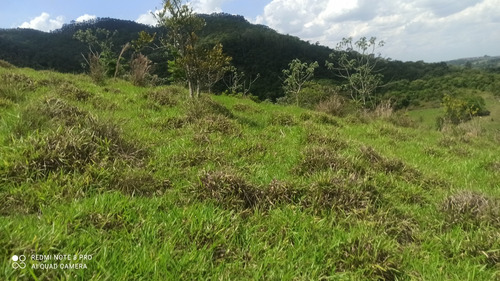 G15 - Vendo Terreno De 500m²documentado