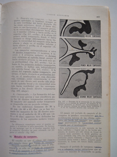 Histología Y Embriología Dentaria De Jorge Erausquin (Usado)