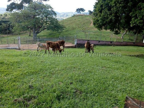 Julio Latouche 25-16896 Finca Ganadera En Venta Carabobo, 267 Hectáreas, Casa Principal De 550 Mts2, Dos Lagunas Para Riego.