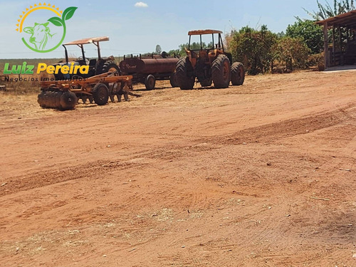 Imagem 14 de 14 de Fazenda À Venda Em Tupiratins - To -n 1.728 Hectares (dupla Aptidão) - 2058