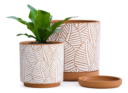 D'vine Dev Set De 2 Macetas De Terracota, Maceta Con Patrón