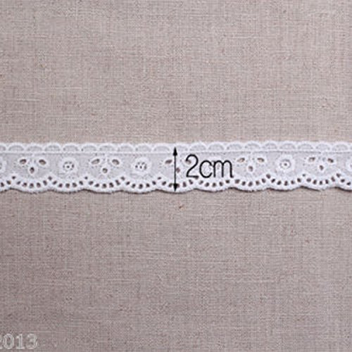 14yds Broderie Anglaise Algodon Ojal Encaje Ribete 0.8 in