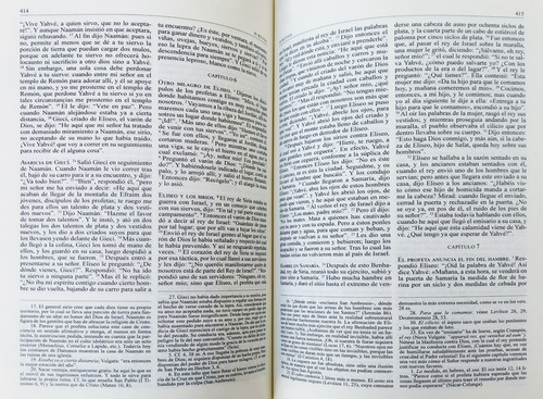 Santa Biblia De Straubinger + Diccionario Bíblico Ilustrado