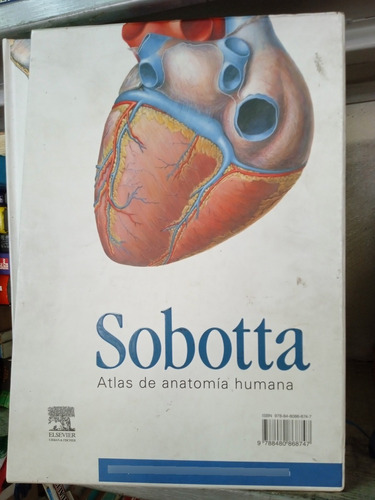 Atlas De Anatomía Sobbotta Elsevier 3 Tomos