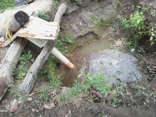 Imagen 10 de 15 de Se Vende Finca En Nirgua Sector Las Palmas / Yaracuy.