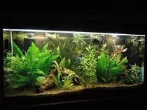 Comprar Arena Grano De Oro 15 Kg Decoración Peces Y Otros 
