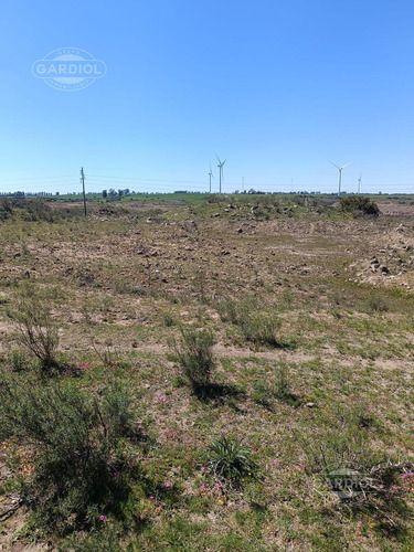 Venta De Campo  Ganadero Colonia