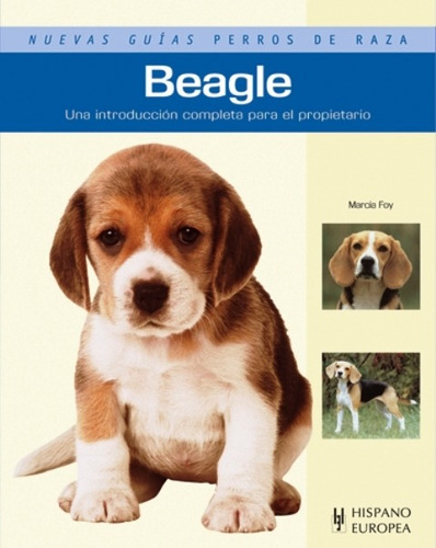 Imagen 1 de 3 de Beagle - Nuevas Guías Perros De Raza, Foy, Hispano Europea