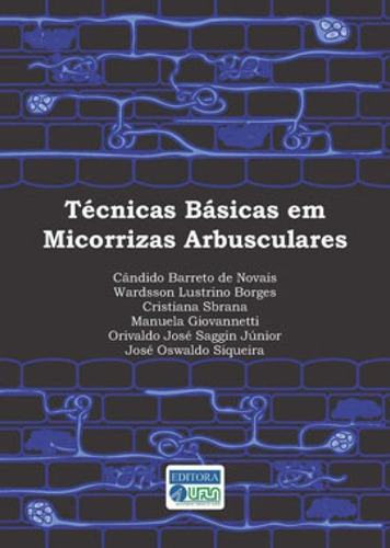 Técnicas Básicas Em Micorrizas Arbusculares, De Novais, Cândido Barreto De. Editora Ufla - Universidade Federal De Lavras, Capa Mole Em Português