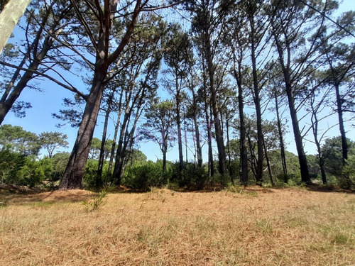 Imagen 1 de 16 de Venta De Lote En Barra Verde, La Barra, Uruguay - La Barra Barra Verde