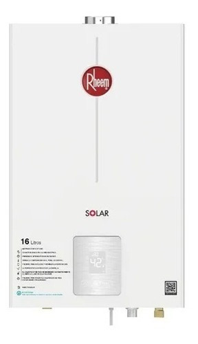 Calentador De Agua 16lt Gas Propano Tiro Forzado Dig Rheem