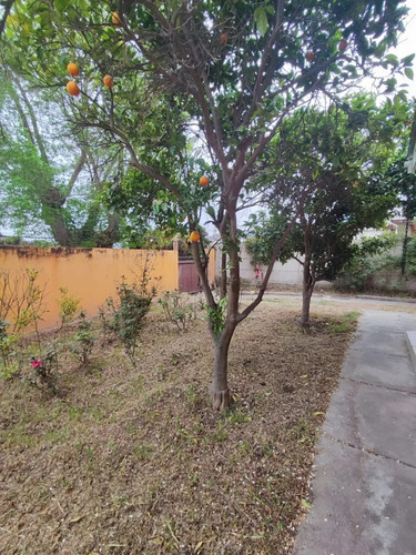 2 Casas En Terreno Amplio Próximo Al Centro De Limache