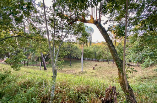 Imagen 4 de 7 de Venta Solar Jarabacoa