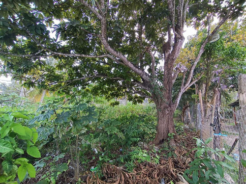 Terreno En Venta En Bacalar Uno