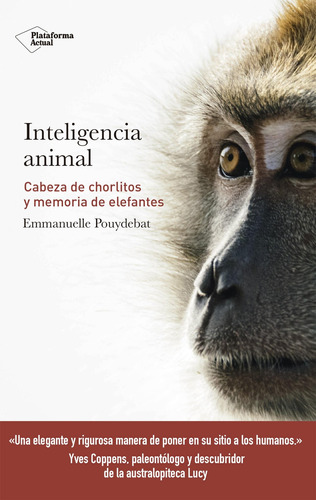 Inteligencia Animal--plataforma