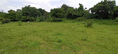 Imagen 5 de 8 de Terreno En Venta En Morelos
