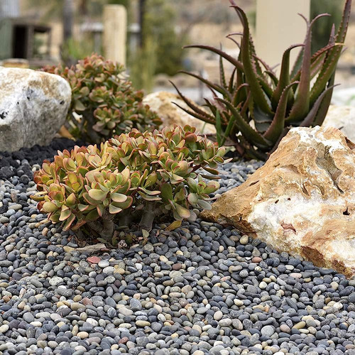 Playa Mexicana De Guijarros | 20 Libras De Piedras Lisas Sin