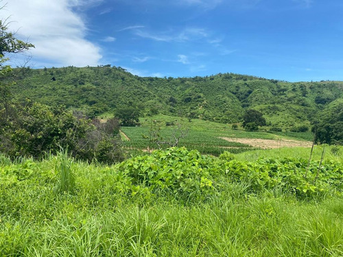 Oportunidad De Inversión En Chiapas: Rancho De 10 Hectáreas Con Documentación Al Día Y Plusvalía En Crecimiento