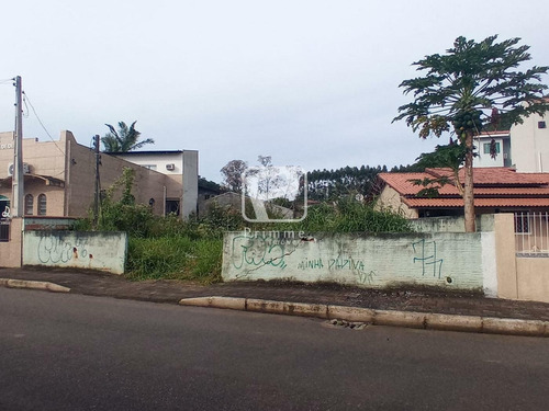 Imagem 2 de 4 de Terreno A Venda Em Balneário Camboriú - Nova Esperança - 6834